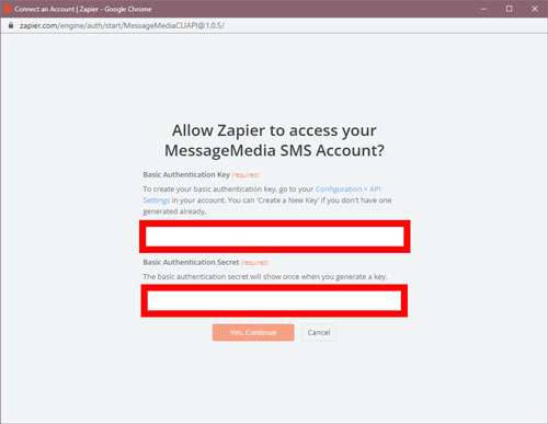 Screenshot of the dialog box asking you to allow Zapier to access the account needed to perform your Zap's desired action